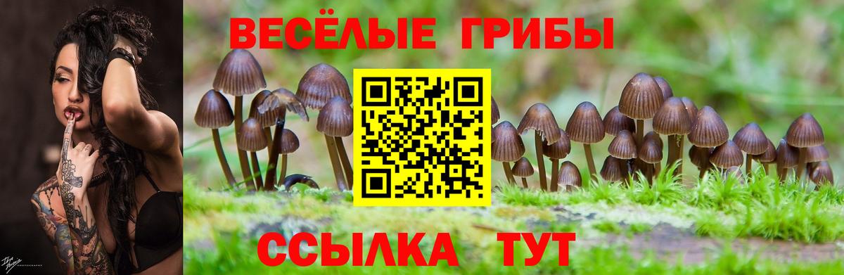 Псилоцибиновые грибы мухоморы  Вход с VPN  Рязань  купить наркотики сайты  Галлюциногенные грибы GOLDEN TEACHER 