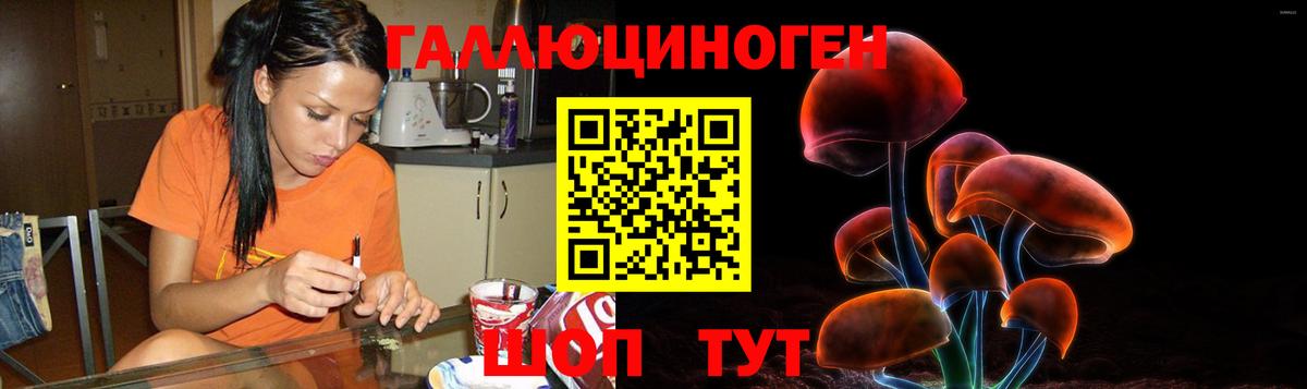 Галлюциногенные грибы Cubensis Рязань